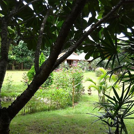 Orange Grove Resort Пай Экстерьер фото